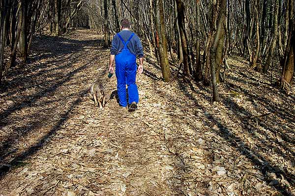 promeneur dans la foret